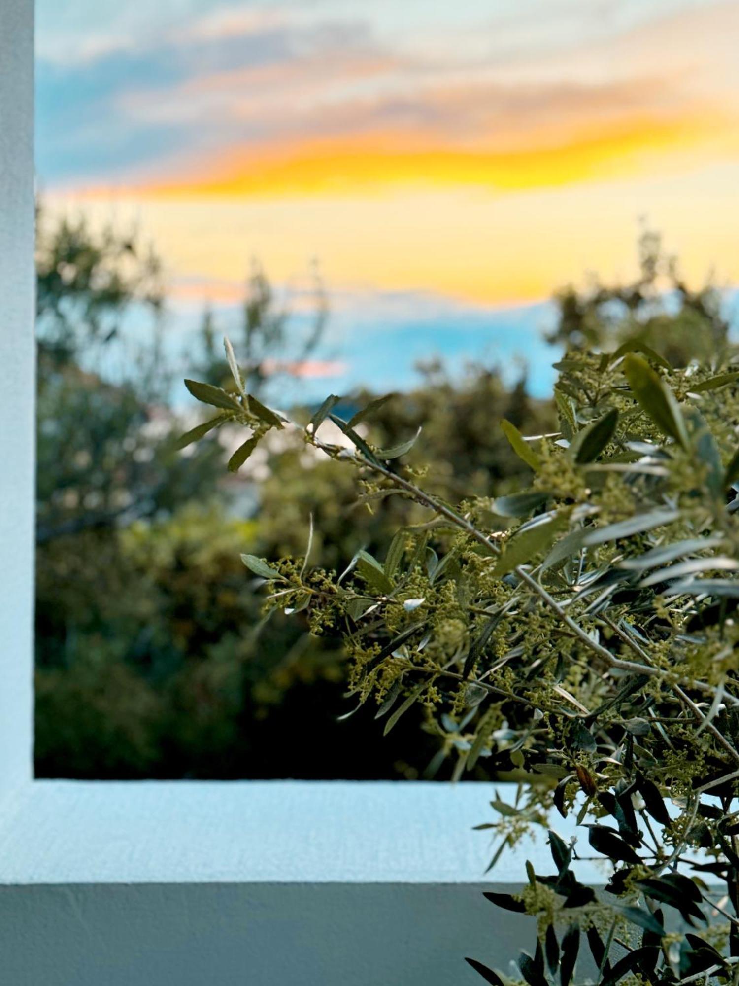Sol Melba Boutique Studios - Maslinica Dış mekan fotoğraf