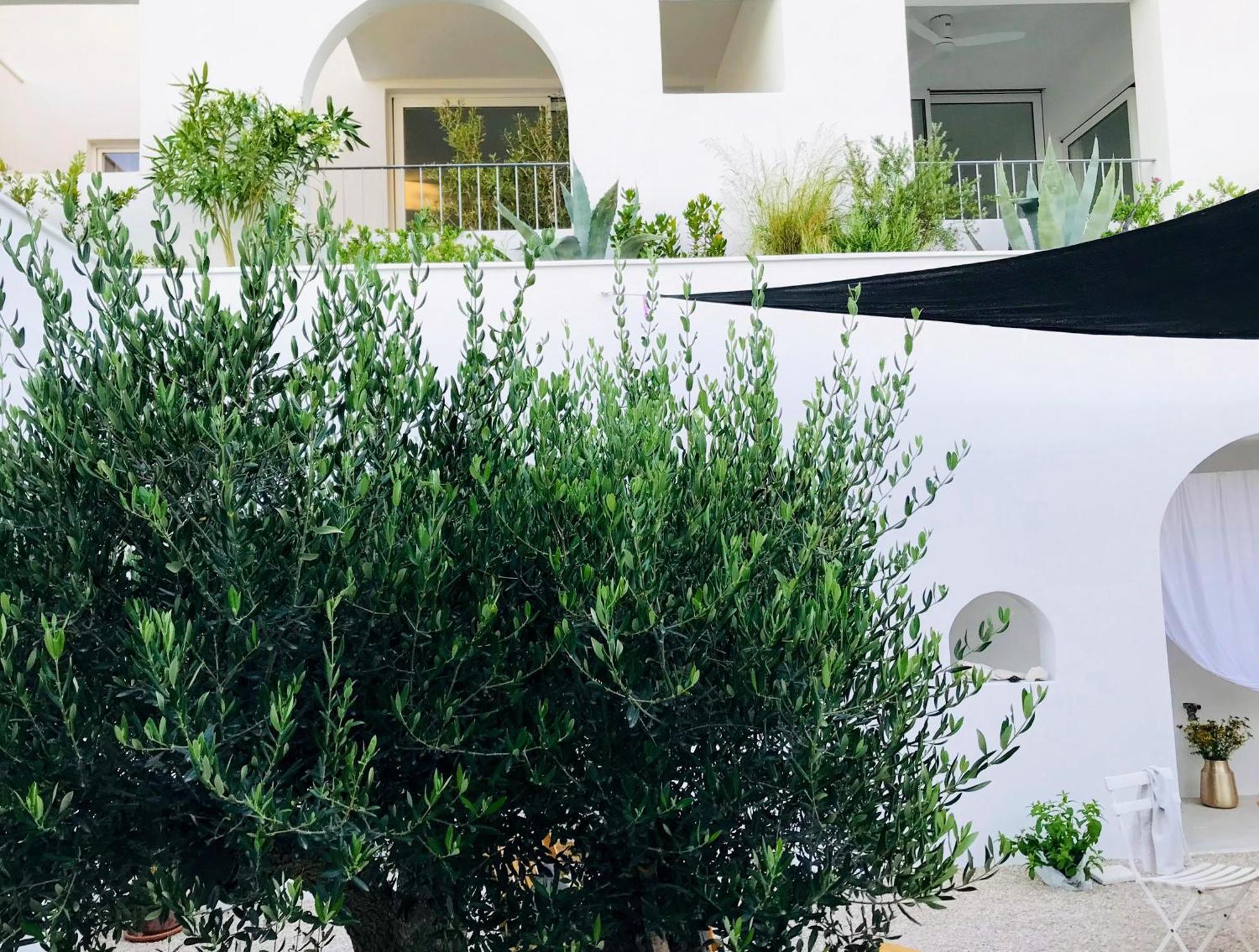 Sol Melba Boutique Studios - Maslinica Dış mekan fotoğraf