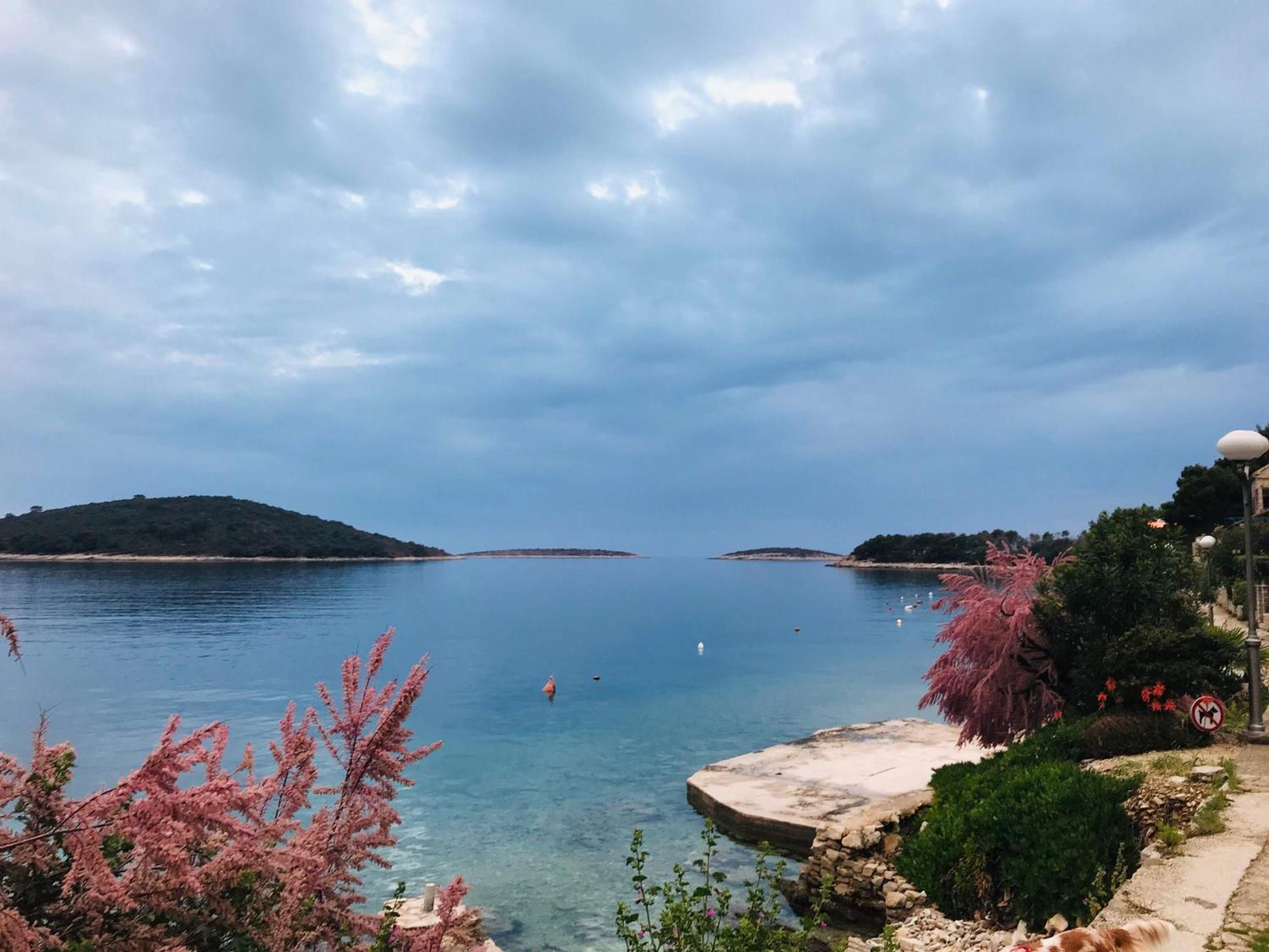 Sol Melba Boutique Studios - Maslinica Dış mekan fotoğraf